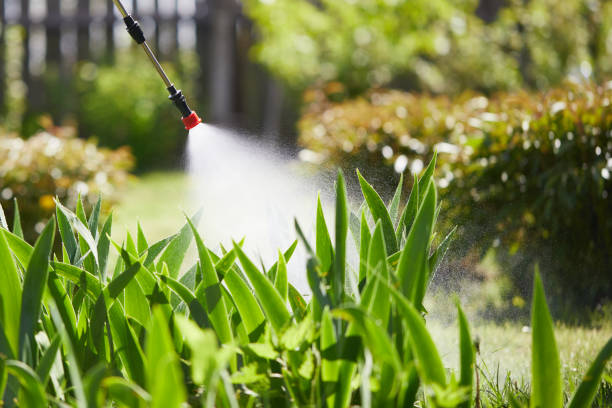 24/7 Emergency Mosquito Control experts in Chelsea, MA