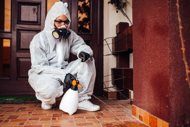 Reliable Mosquito Control contractor in Chelsea, MA by Show Me Pest Control