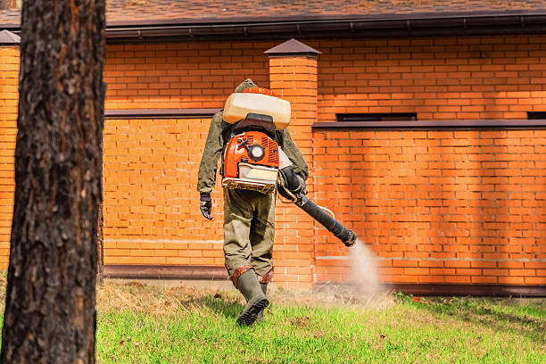 Top rated local Mosquito Control specialists in Chelsea, MA